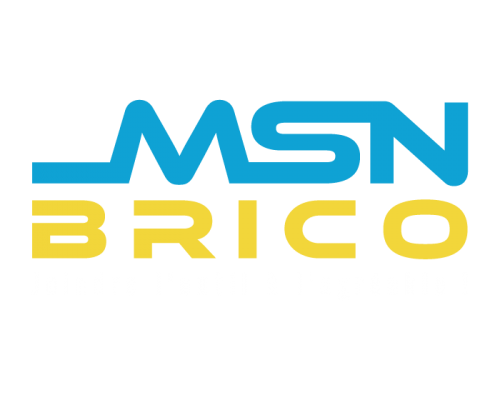 LOGO-MSN